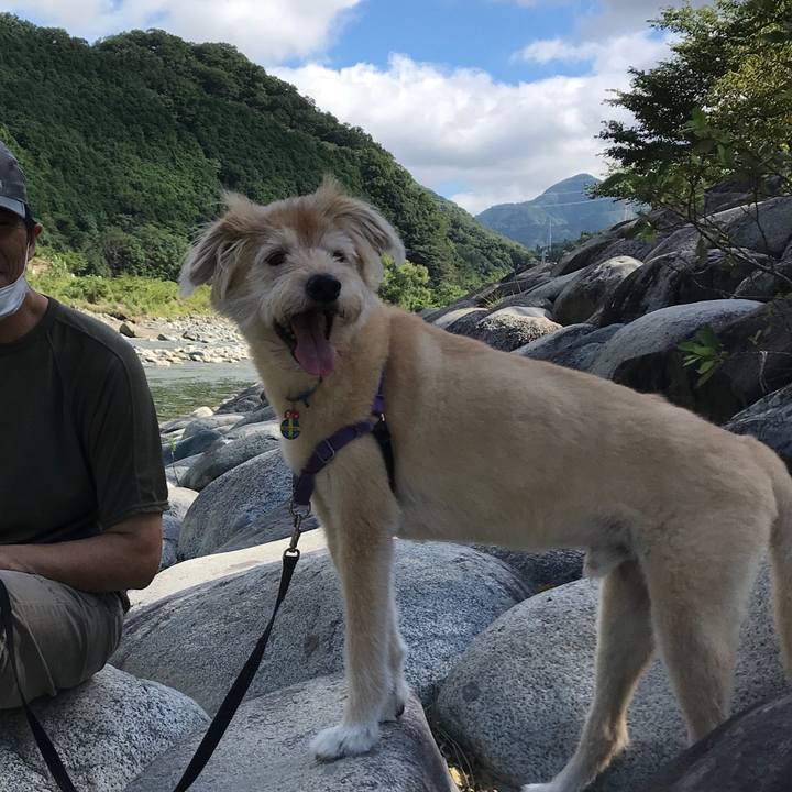 A390e27a e84e 4cff 873b 08737fe3e2e2 1597195644110