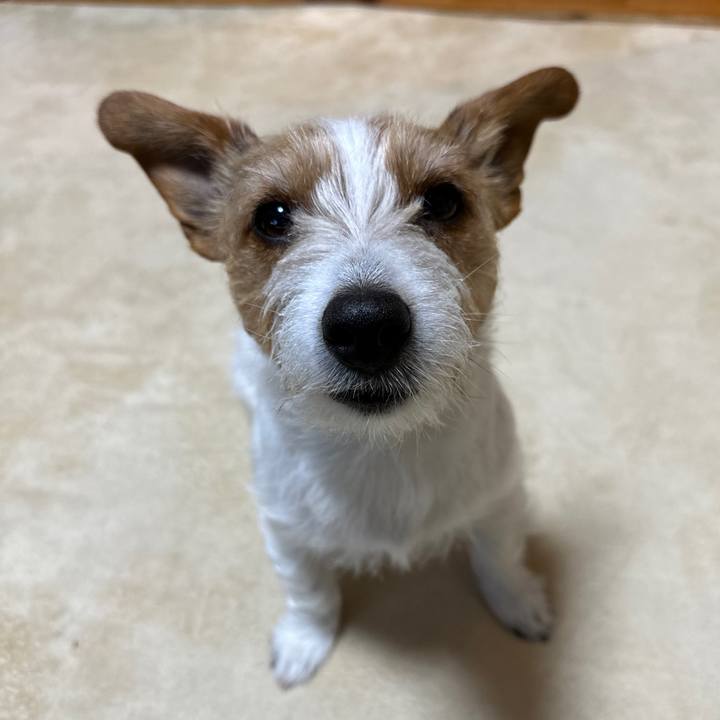 A39107ce b14f 400a 84f5 28b7db9fe78c 1773178910168