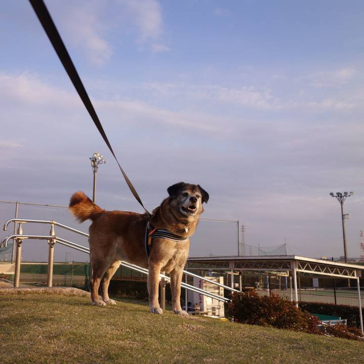 A3917073 ddef 4958 a50c 53056db1e34c 1665102176329