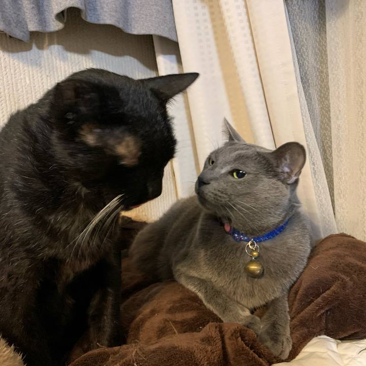 A3918e03 d37c 41c4 be2c 954536abf5e7 1582324337539