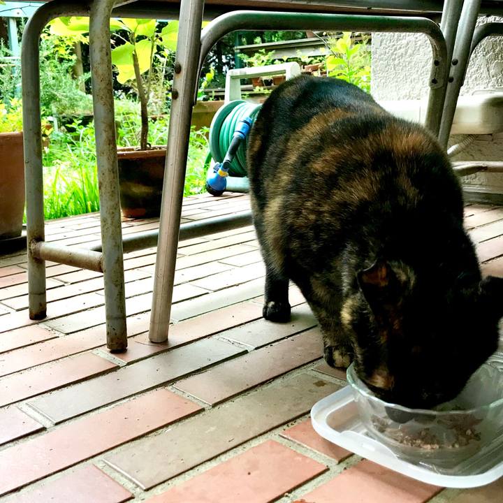 A3919b6e fab1 4589 8431 d58a838c1b89 1524712971712