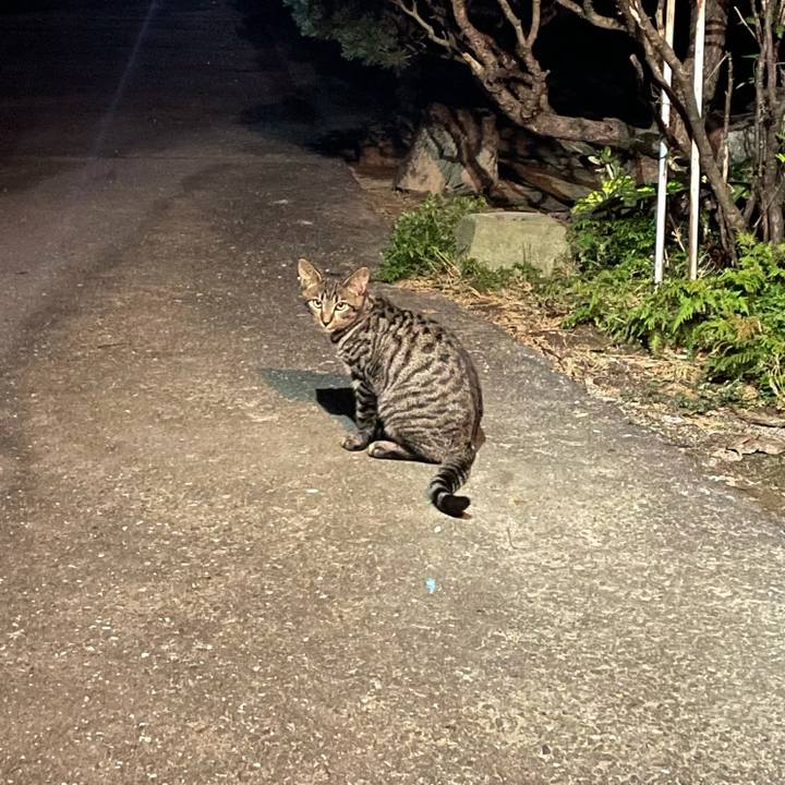 A391d810 6535 420c 9d62 e3808d68d2ff 1632216501599