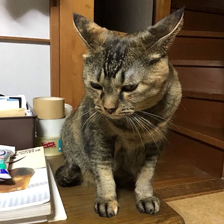 A391dff6 3446 46df b415 f847f4373377 1760694132462