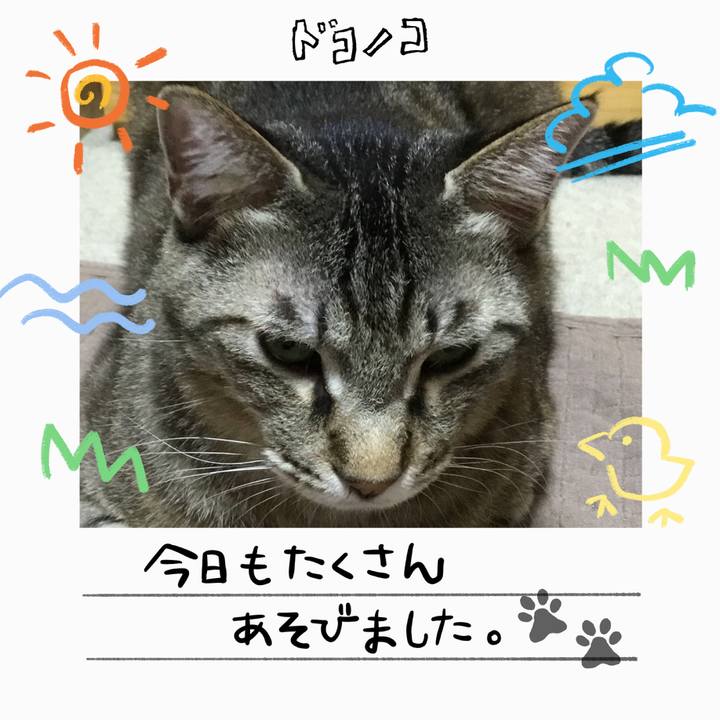 A391eaba b38f 41c0 8ae5 8eb6c51b4fa1 1755093104662