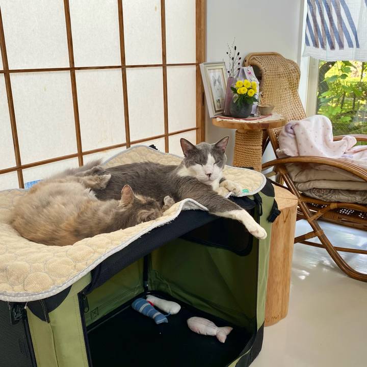 A391f45e 9263 4dbd b189 b574a1ff93af 1758607250942