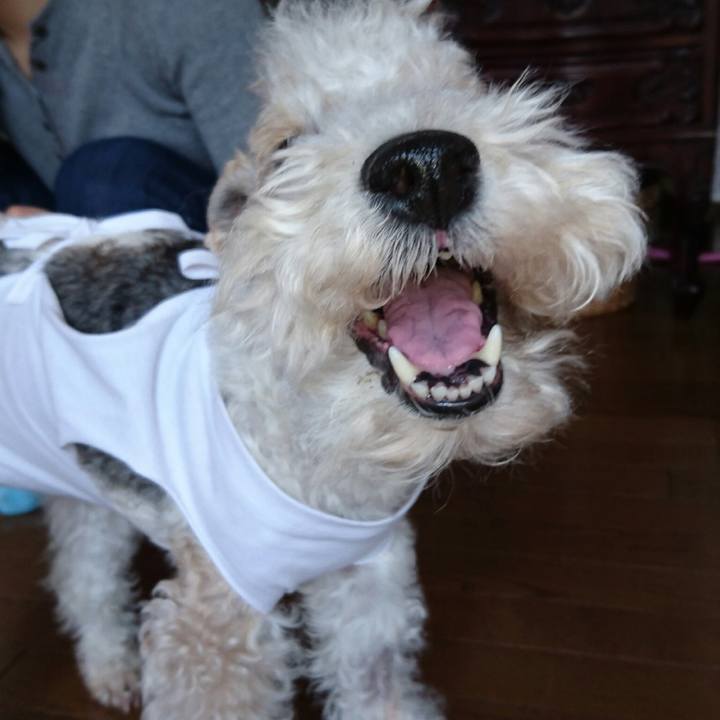 A3920578 aba8 4754 908c e7e62fe85029 1609083017907