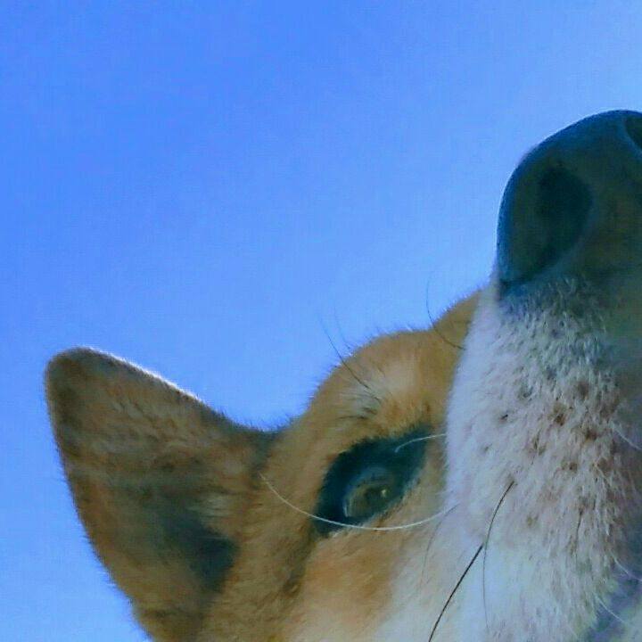 A3921195 aecd 47b1 a39d 9acb93ac53da 1515635805764