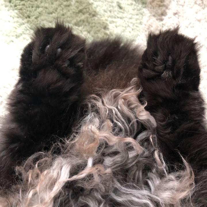 A392361a e34a 4c0b b548 b8838474c10b 1613044091208