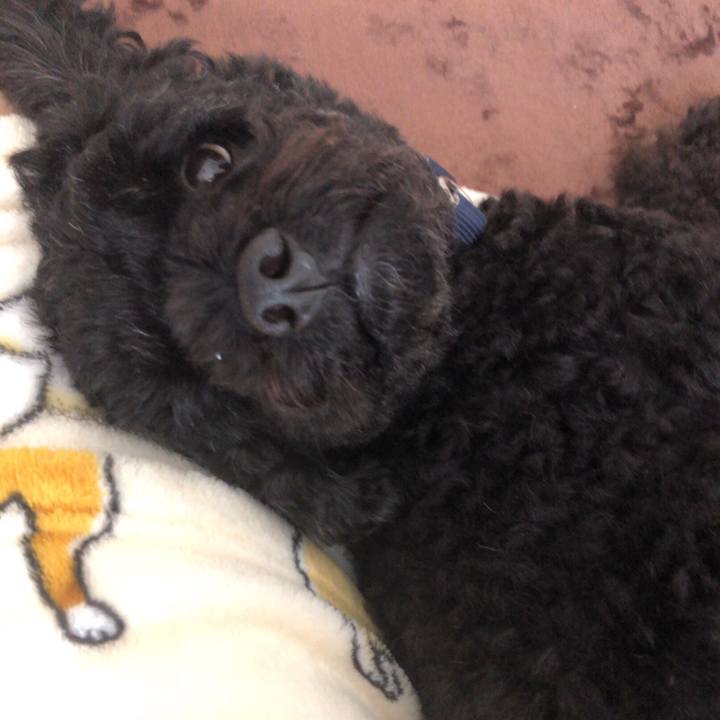 A3925586 20f1 485b 962b 55cf1929a075 1563675676985