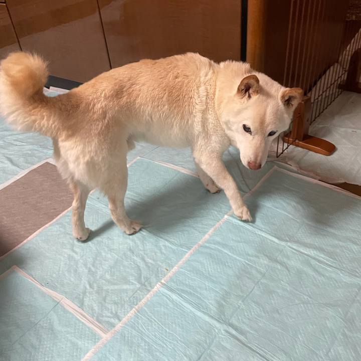 A3926309 a603 4f29 9849 c77a5a2a3b05 1636700809418