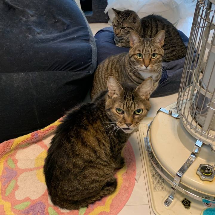 A3927c13 8c83 4fb8 9b1d 945081e168d1 1763879211539