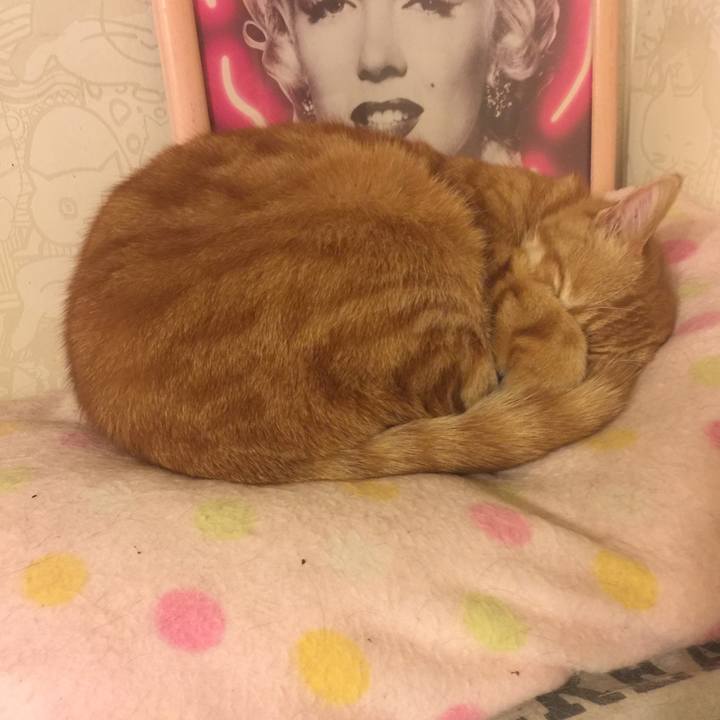 A392ae47 f618 4466 ae67 c5acb7cf0c81 1553272775173