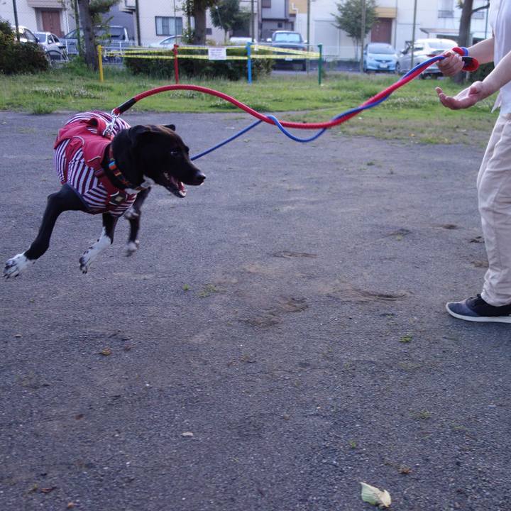 A392d574 6b50 4f0a 96be df5c79a433a7 1593688682893