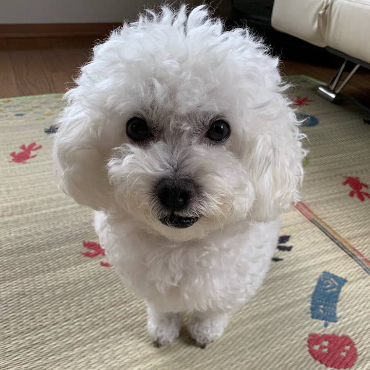 A392fe86 26f4 4e96 acdd 01bc9155b3e0 1566689196663