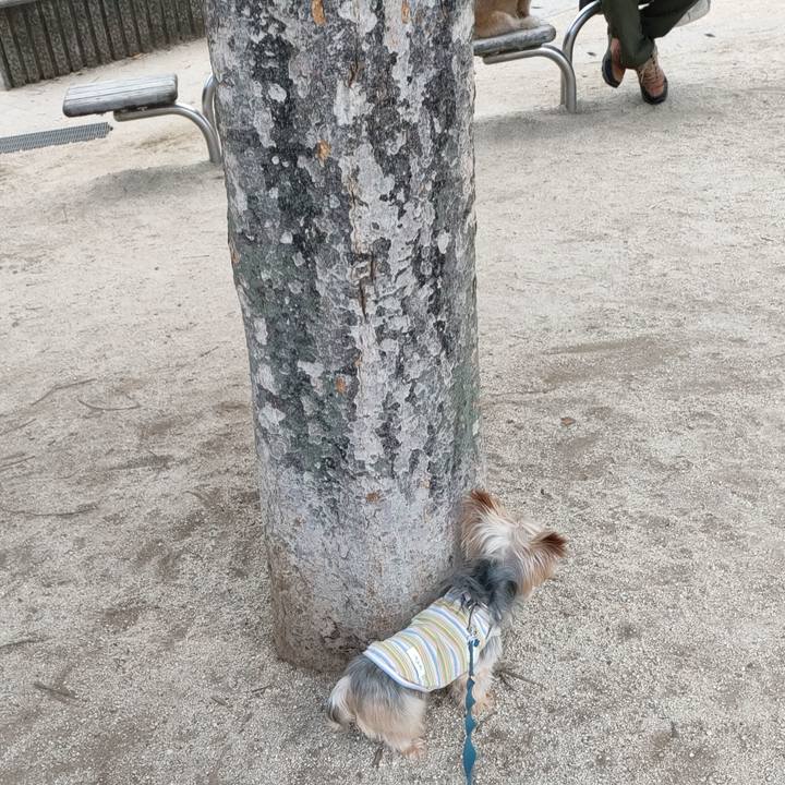 A39344c4 1b08 46a8 b511 2685e29a3131 1662812370388