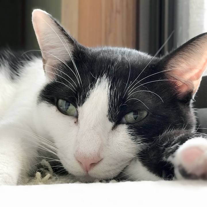 A393585a 3af5 4211 b50d 4c7fb2b1382f 1537626349512