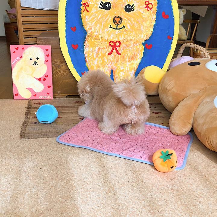 A393b3c2 eaa6 4b02 a677 b4f8fd69069d 1540978910931