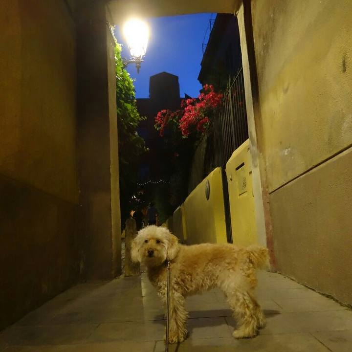 A393b9dd 8200 4bc3 8372 afacff896e77 1589465860410