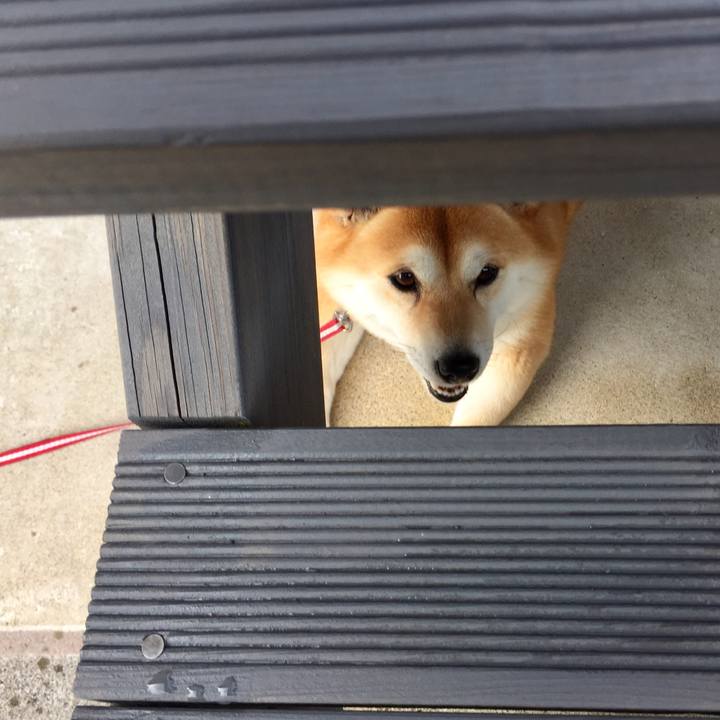 A393bc8b 881b 4a3c 9e69 5cd26f48d3b9 1528516016643