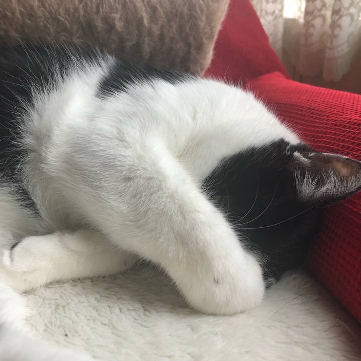 A393f05a f2d4 4b5e af4d 87e09bb89306 1572415827484