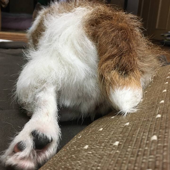 A3944b0e ec01 41f9 a2a4 02300999c284 1652829704135