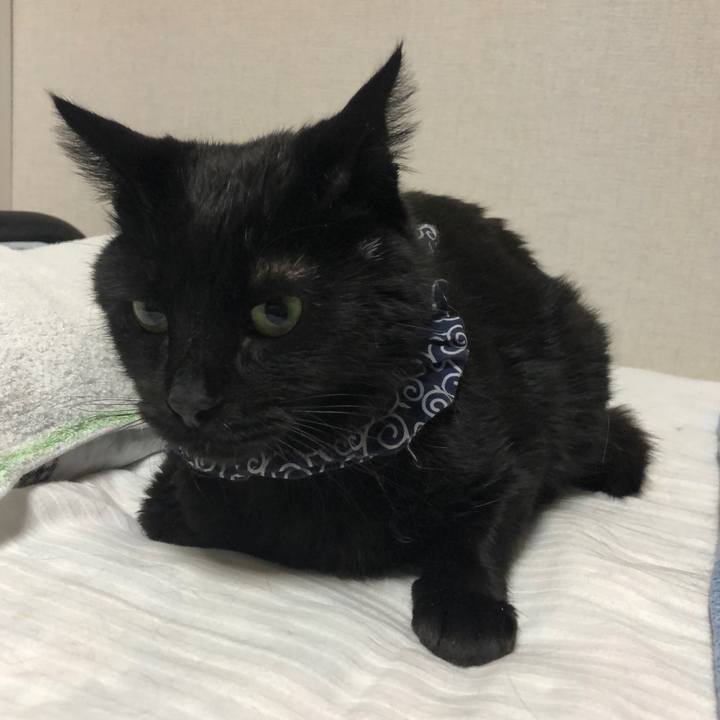 A39451eb 9770 489e 9293 7b3337fdbfe8 1581338795663