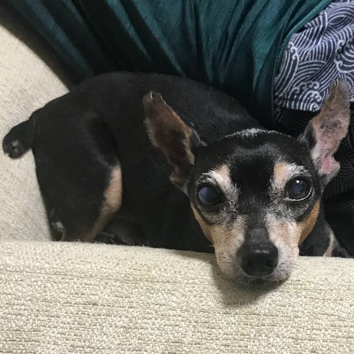 A39464b2 5b10 4fe1 be0b d87a00c8579b 1531584333818