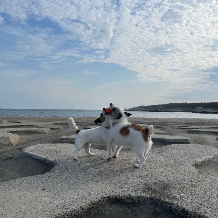 A394d0b2 e30a 4edd b0c7 41eb677da19a 1712187552949