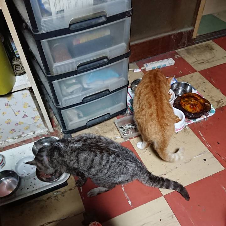 A394d25c 8b0d 4435 84eb ff6f320c94a2 1595966742204