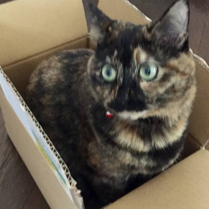 A394e405 a7fc 4eb7 b30f 7d468859cf0a 1615002305412