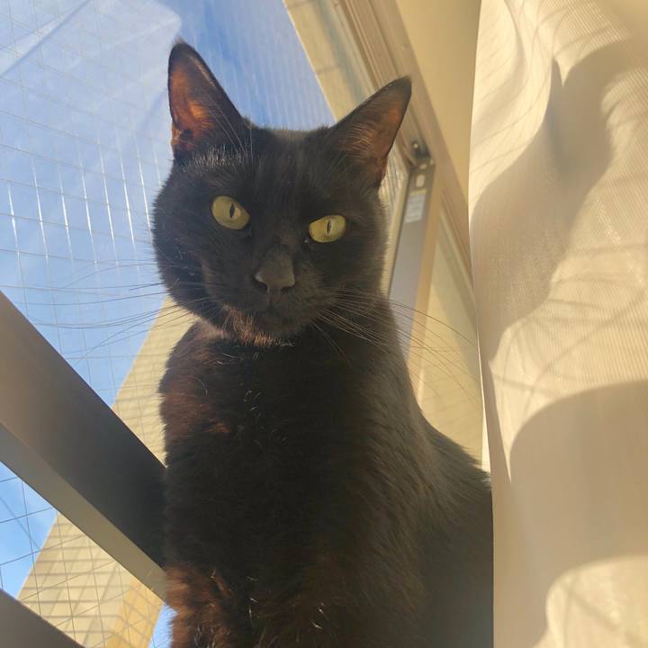 A394f35f 6371 45d8 8cb1 0c9f5c75318c 1580598499610