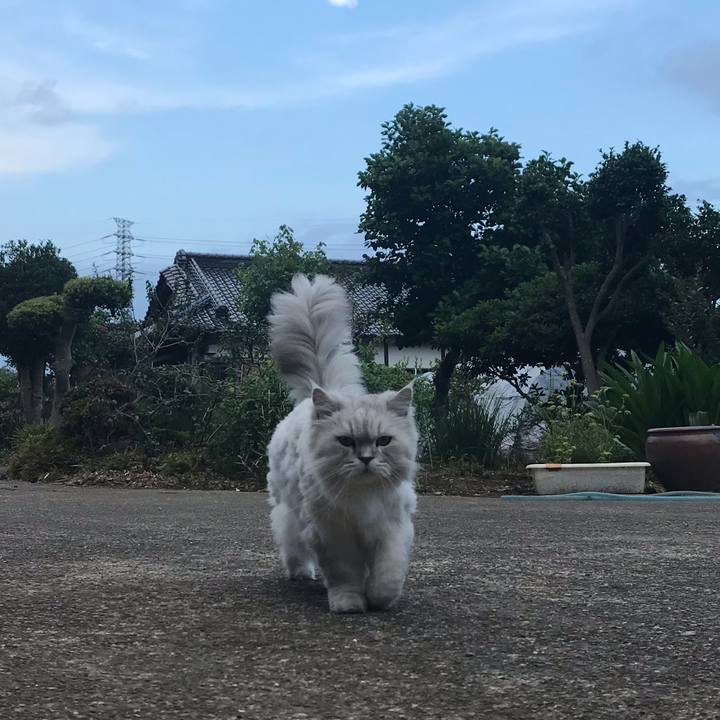 A395316a ce38 4441 bde4 3845e7bc2e51 1624532519326