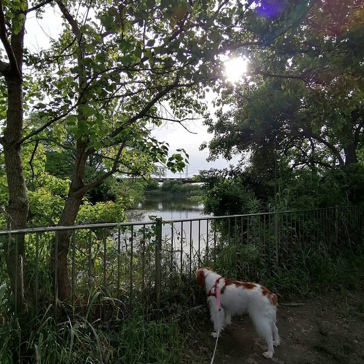 A39553a0 e1bb 4c45 a519 b228adf97c7f 1622019005544