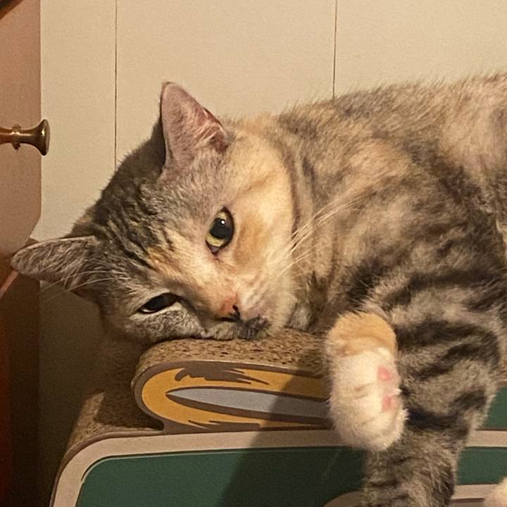 A39576ac 431e 4086 8a30 ae4170462ea7 1632351245274