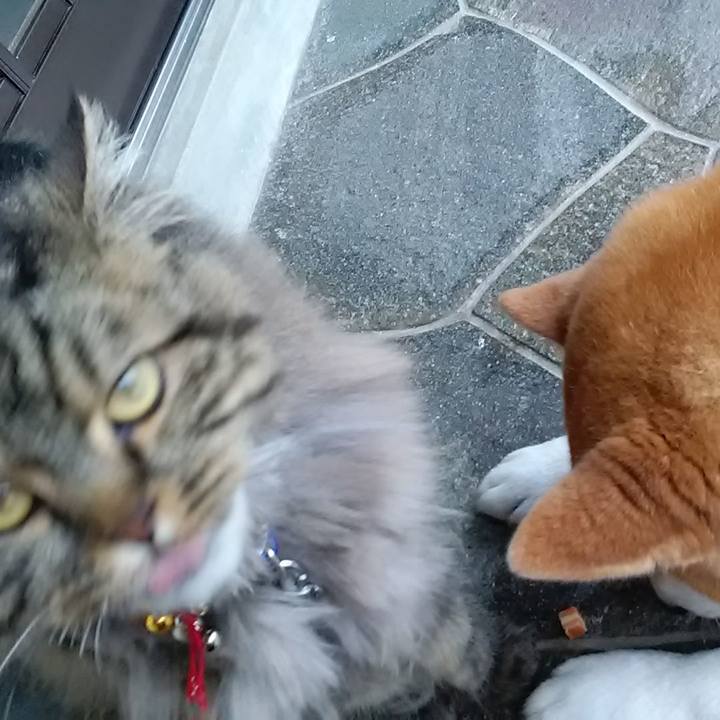 A3958927 0fdb 4ba0 be68 16197b23b7ac 1623542193853