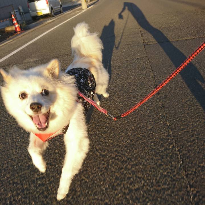 A3959551 4ac7 4b68 83b0 1dabbda21a89 1537652408248