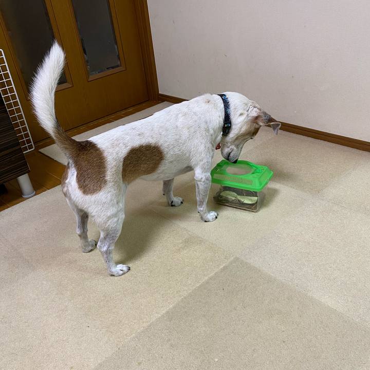 A39598e0 7ded 4742 8968 910231fcc619 1600209515144