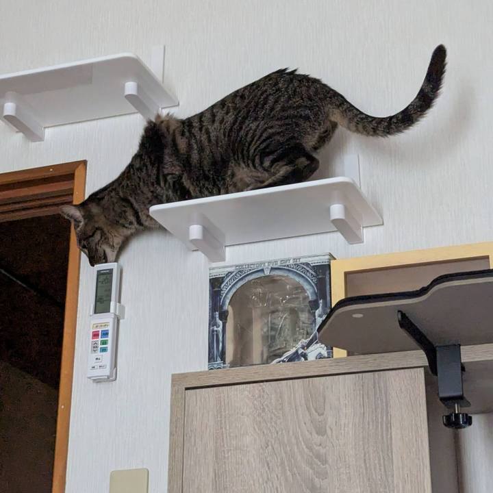 A395b129 ddad 47e2 9c7c d3be01989f62 1746590767425