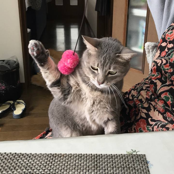 A395de00 2b26 40eb b3b9 db40e0027f7b 1616941945245