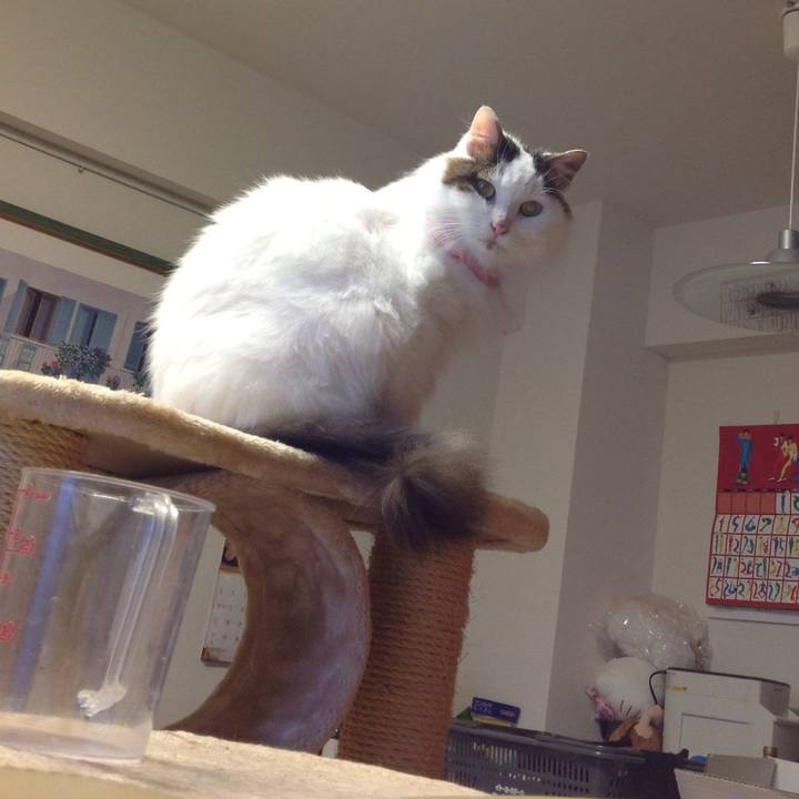 A3962e6e ac30 464d a6e3 f64638c67da6 1619373262572