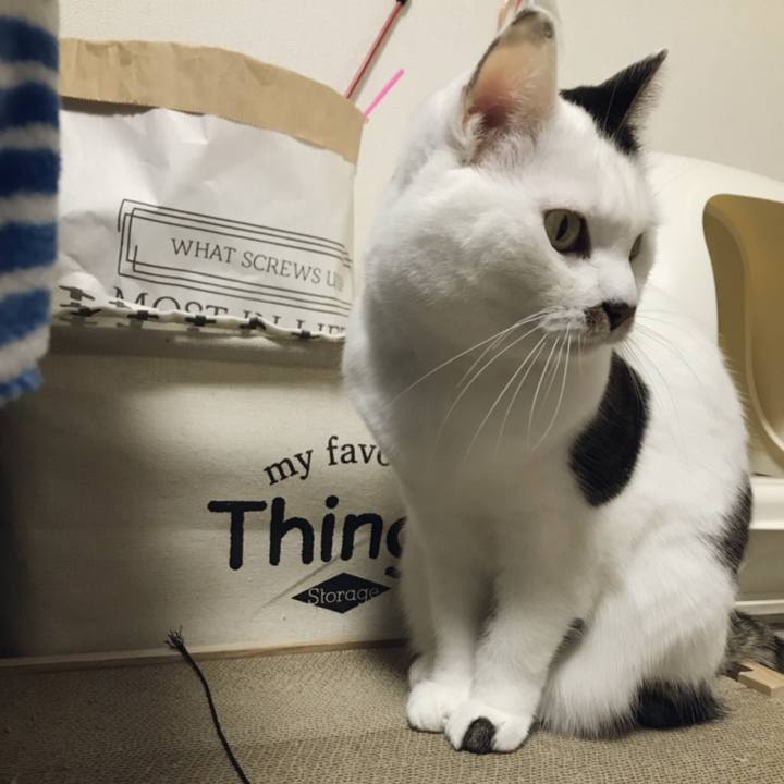 A3963bba 4c6e 4cd1 bef0 f04ba41276b5 1543717283842