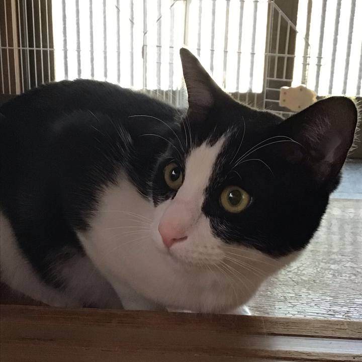 A3965a50 ae63 4d6f 91a4 be73d3c21d0e 1653780730349