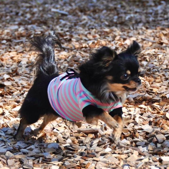 A39678c5 30e7 48df 87fe ee4e0bff2a05 1763529619217