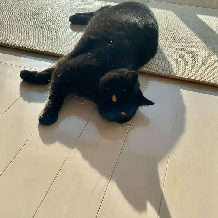 A396b925 ab45 4205 8338 3e778a1608a6 1701839046680