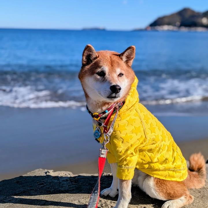 A396f79a 1b9f 404d 9d82 2db4ba18a16a 1766117820886