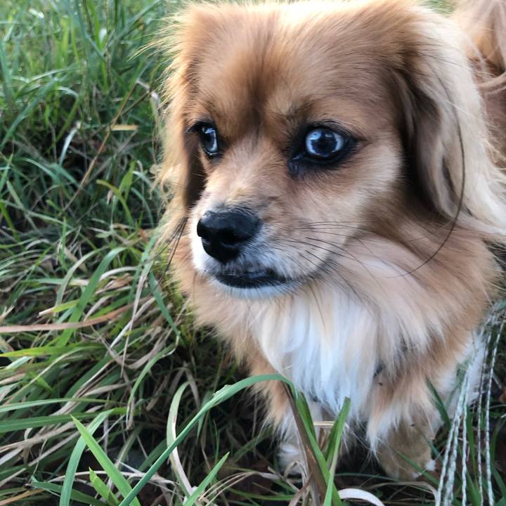 A3978b93 f74d 4cba ad8b c1bffb3b63d9 1572559798973