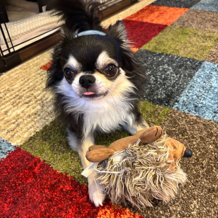 A397c231 a595 4c97 9baa 0a5940b11aa3 1746548763739