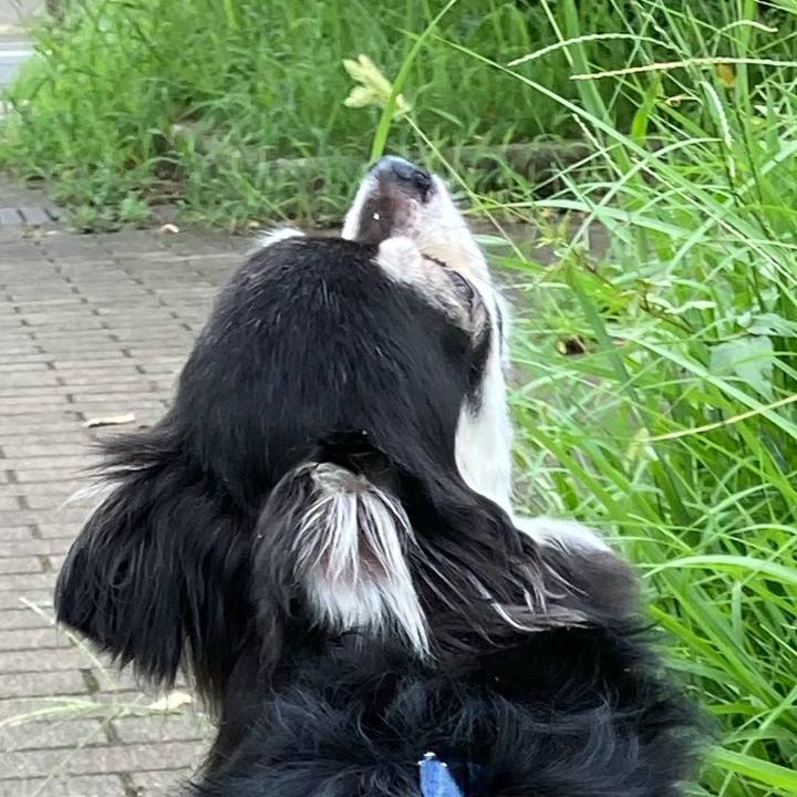 A397f3fb 82e2 4907 a86a c21c8326d284 1661076948848