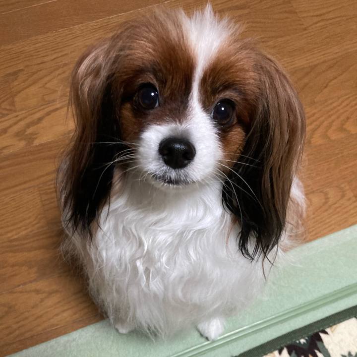 A3980a88 6d22 4a4d b245 d447a4fc8cdc 1678377045125