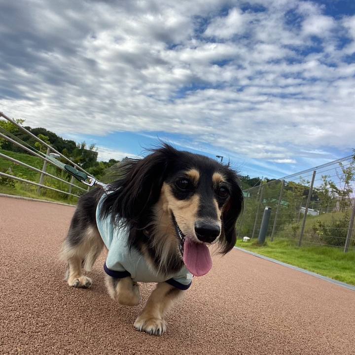 A3983d2b 7e44 410e bc1e 85625a252dd3 1754094769129